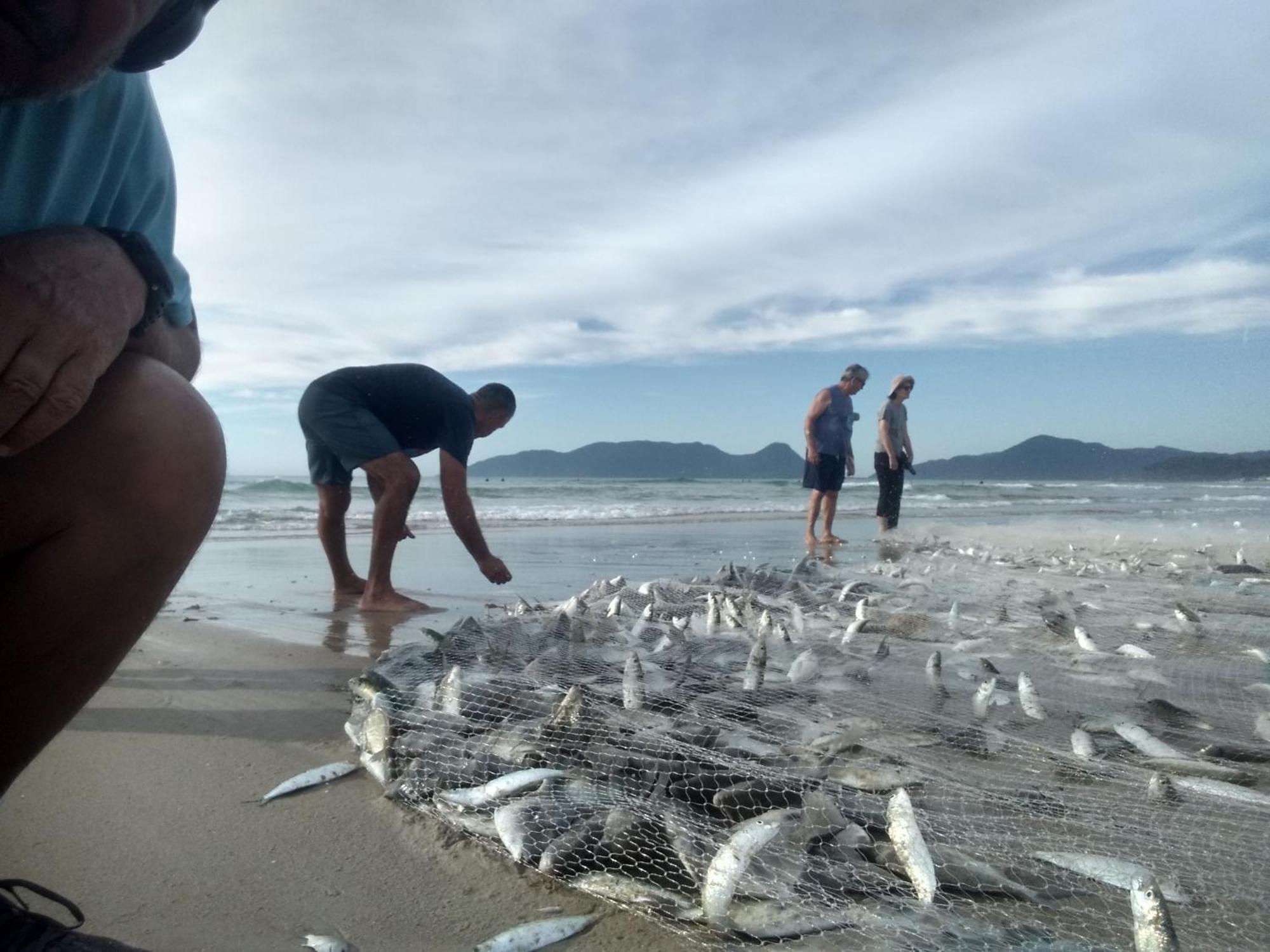 Charmoso E Moderno No Paraiso E Proximo Ao Aeroporto Florianópolis Buitenkant foto